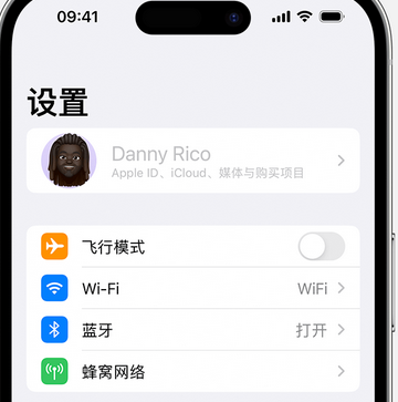 威海appleID维修服务iPhone设置中Apple ID显示为灰色无法使用 