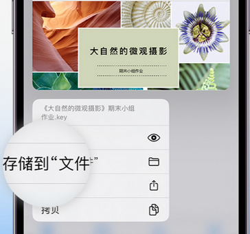 威海apple维修中心分享iPhone文件应用中存储和找到下载文件