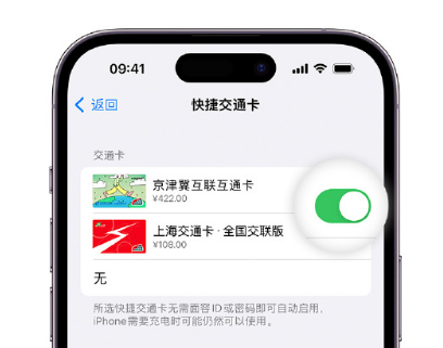 威海apple维修点分享iPhone上更换Apple Pay快捷交通卡手绘卡面 