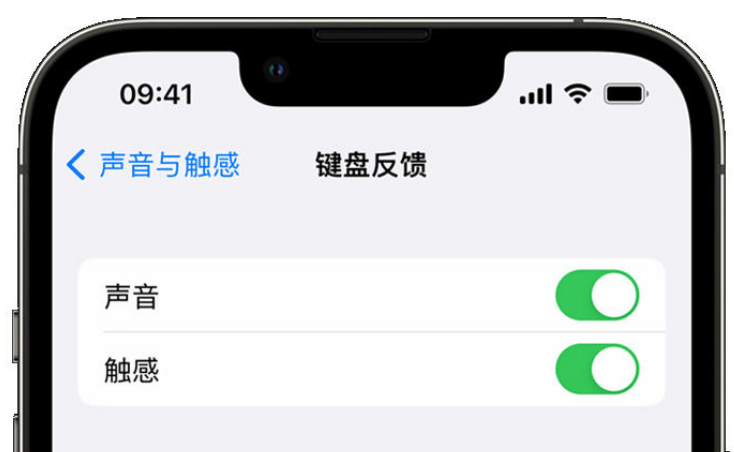 威海苹果手机维修分享iPhone 14触感键盘使用方法 