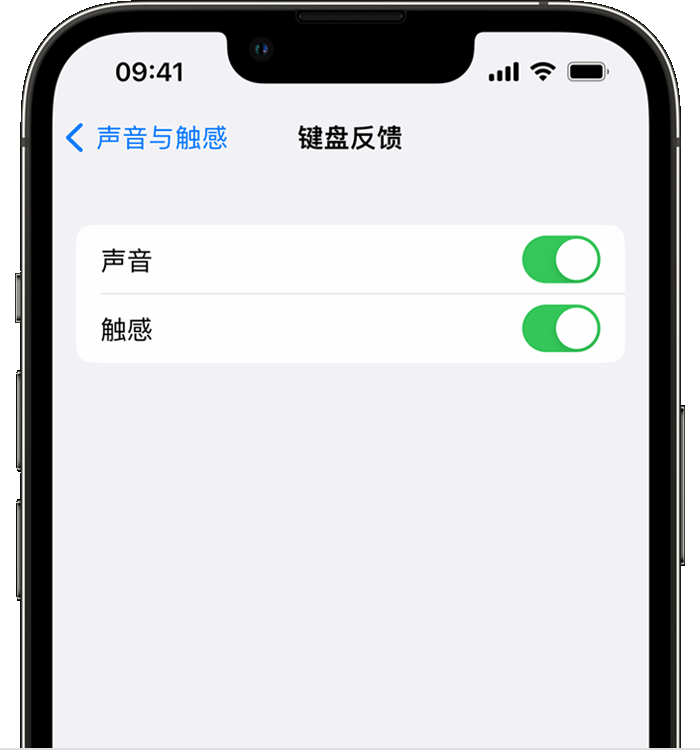 威海苹果14维修店分享如何在 iPhone 14 机型中使用触感键盘 