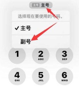 威海苹果14维修店分享iPhone 14 Pro Max使用副卡打电话的方法 