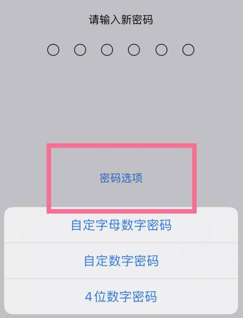 威海苹果14维修分享iPhone 14plus设置密码的方法 