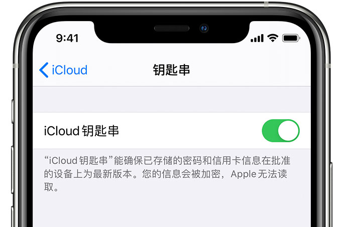 威海苹果手机维修分享在 iPhone 上开启 iCloud 钥匙串之后会储存哪些信息 